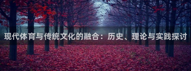 米兰体育官方正版app娱乐首页官网下载：现代体育与传