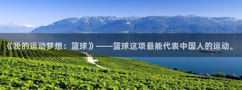 米兰体育官方正版app集团logo：《我的运动梦想：