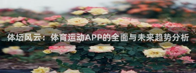 米兰体育官网下载开户：体坛风云：体育运动APP的全面