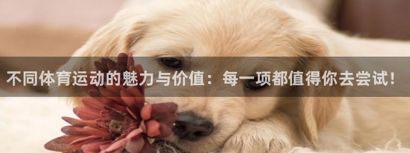 米兰体育官方正版app集团官网首页：不同体育运动的魅