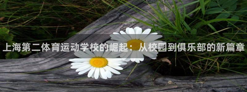 米兰体育官网下载招商电话：上海第二体育运动学校的崛起