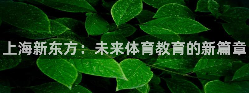 米兰体育官方正版app官网：上海新东方：未来体育教育