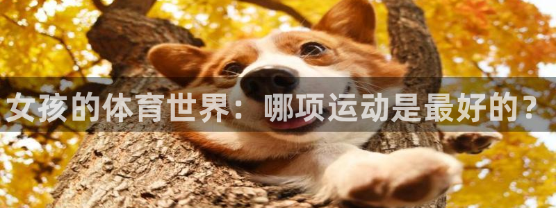 米兰体育官网下载娱乐：女孩的体育世界：哪项运动是最好