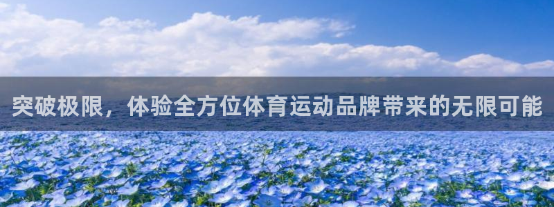 米兰体育官方正版app集团官网首页网址：突破极限，体