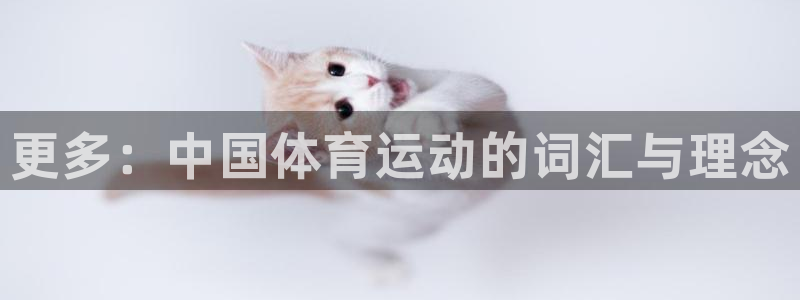 米兰体育官网下载平台：更多：中国体育运动的词汇与理念