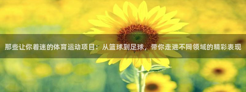 米兰体育官网下载招商电话是多少：那些让你着迷的体育运动项目：