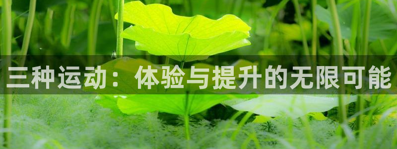米兰体育官方集团官网：三种运动：体验与提升的无限可能