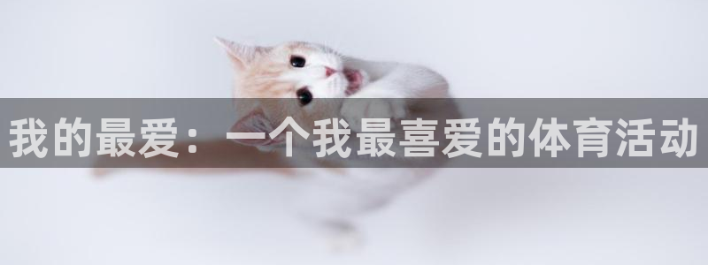 米兰体育官方正版app神州：我的最爱：一个我最喜爱的体育活动