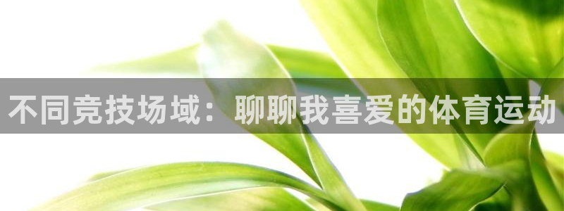 米兰体育官方正版app集团E.ON：不同竞技场域：聊聊我喜爱