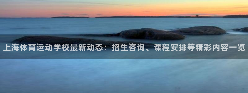 米兰体育官方正版app集团E.ON：上海体育运动学校