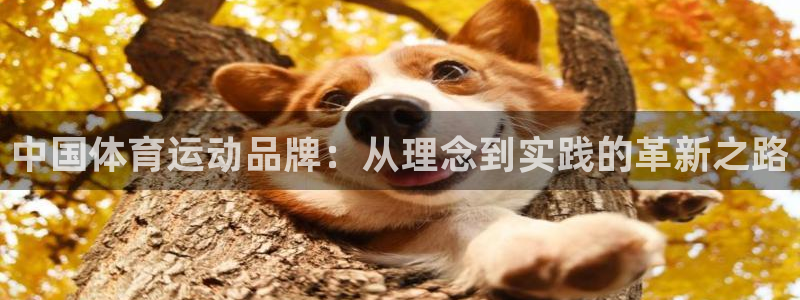 米兰体育官网下载平台假的吗是真的吗：中国体育运动品牌