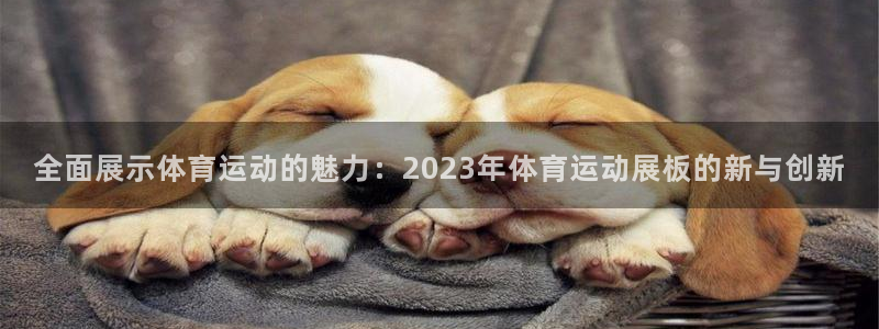 米兰体育官网下载招商电话是多少号码：全面展示体育运动