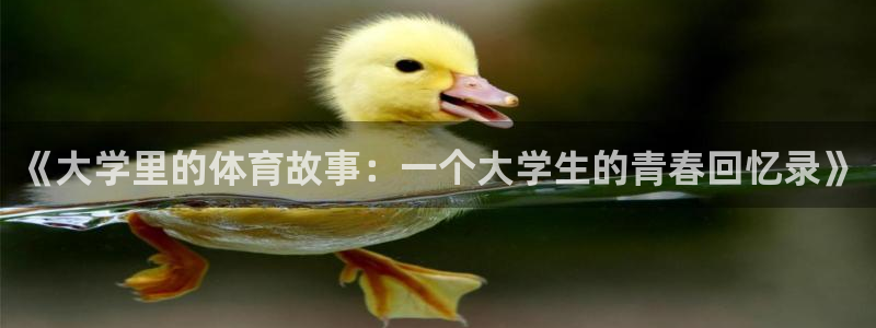 米兰体育官网下载平台注册流程视频：《大学里的体育故事