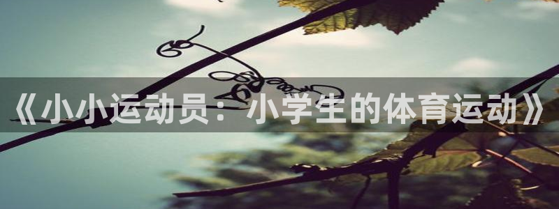 米兰体育官方正版app集团简介：《小小运动员：小学生