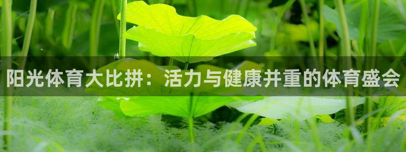 米兰体育官方正版app集团E.ON：阳光体育大比拼：