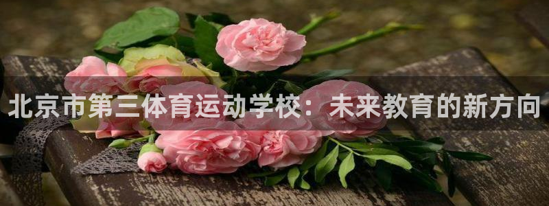 米兰体育官方正版app娱乐首页官网下载：北京市第三体育运动学