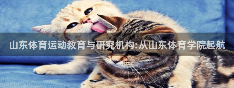 米兰体育官网下载注册：山东体育运动教育与研究机构:从山东体育