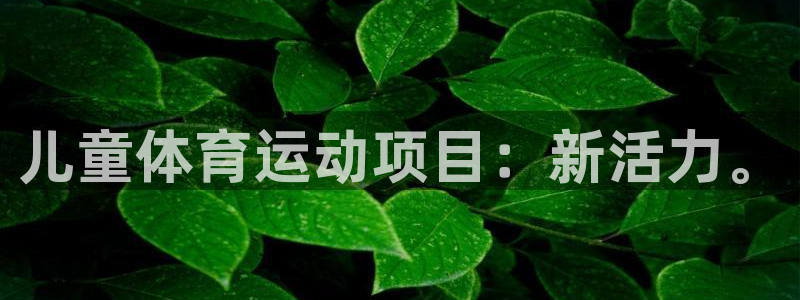 米兰体育官网下载平台：儿童体育运动项目：新活力。